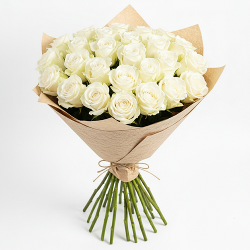 Capital Rose — White